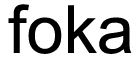 Foka Calçados 